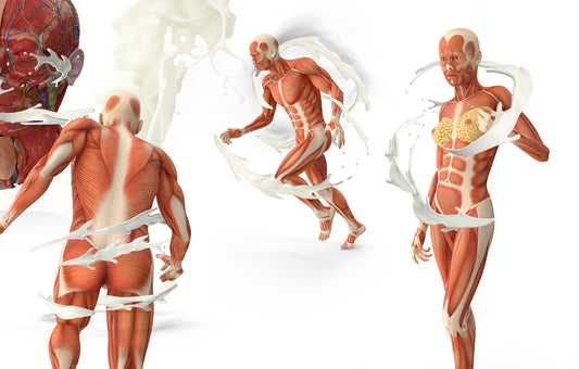 Milk Protein Isolate